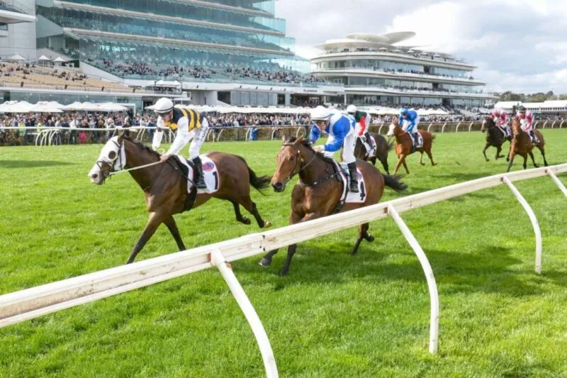 Racing Ratings: Horses To Follow From Flemington 9/8 Image
