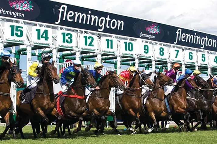 RACING: VRC Oaks Best Selection & Value Play Image