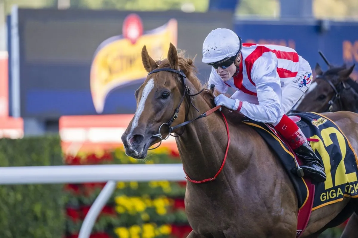 2025 Champions Sprint: Every Runner Breakdown, Tips, and Predicted Finishing Order Image