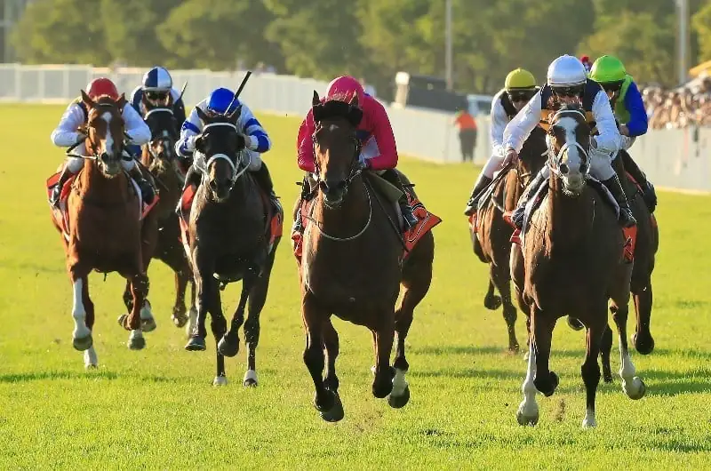 RACING: Hawkesbury Best Bets 2/7 Image