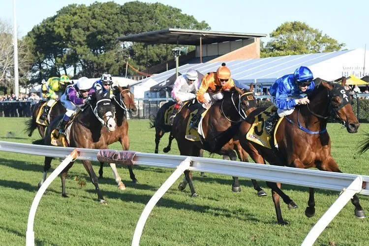 RACING: Newcastle Best Selections 15/7 Image