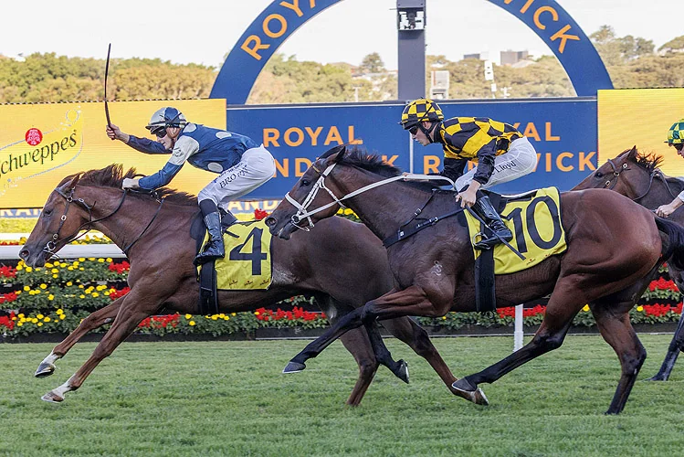 RACING: Randwick Tips – Saturday 6th September Image