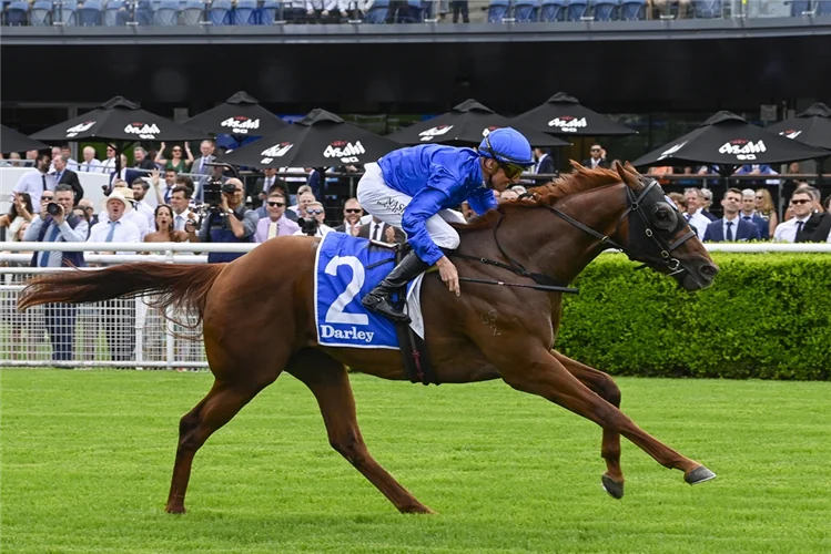 Coolmore Stud Stakes: Every Runner Breakdown, Tips, and Predicted Finishing Order Image