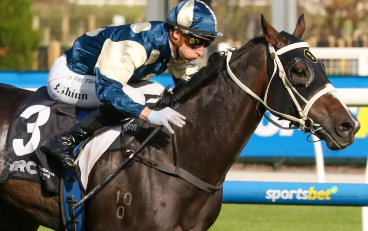 Rated To Win: A Horse We Rated Ready To Win @ Doomben 17/5 Image