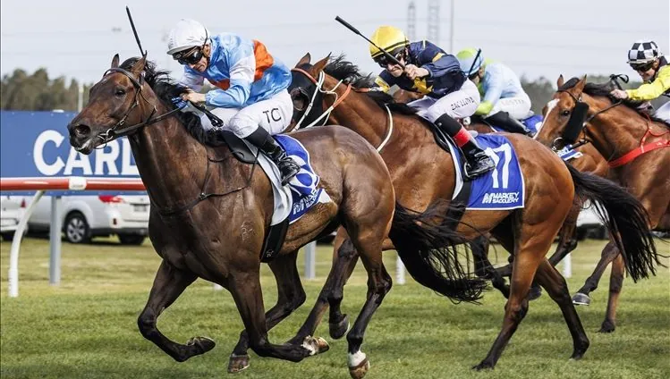 RACING: Thursday Tips From The Vault 18/9 Image