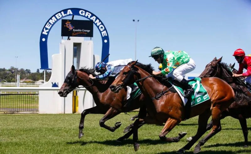 RACING: Kembla Best Selection & Value Play 22/11 Image