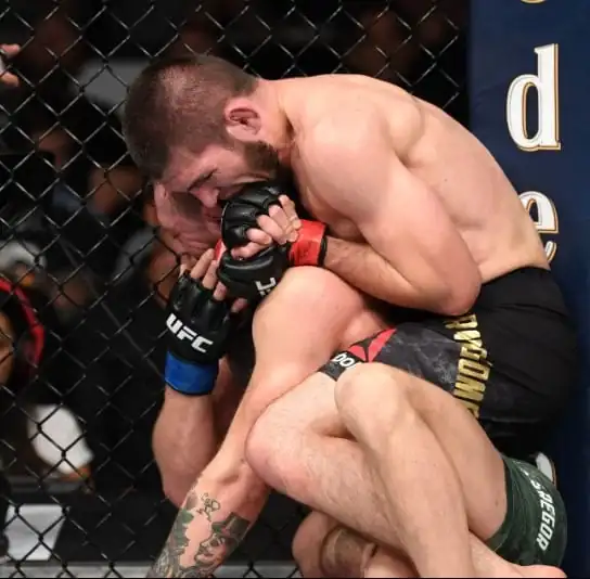 UFC 229 Review – Khabib Defeats McGregor By Submission & Attacks McGregor Team Image