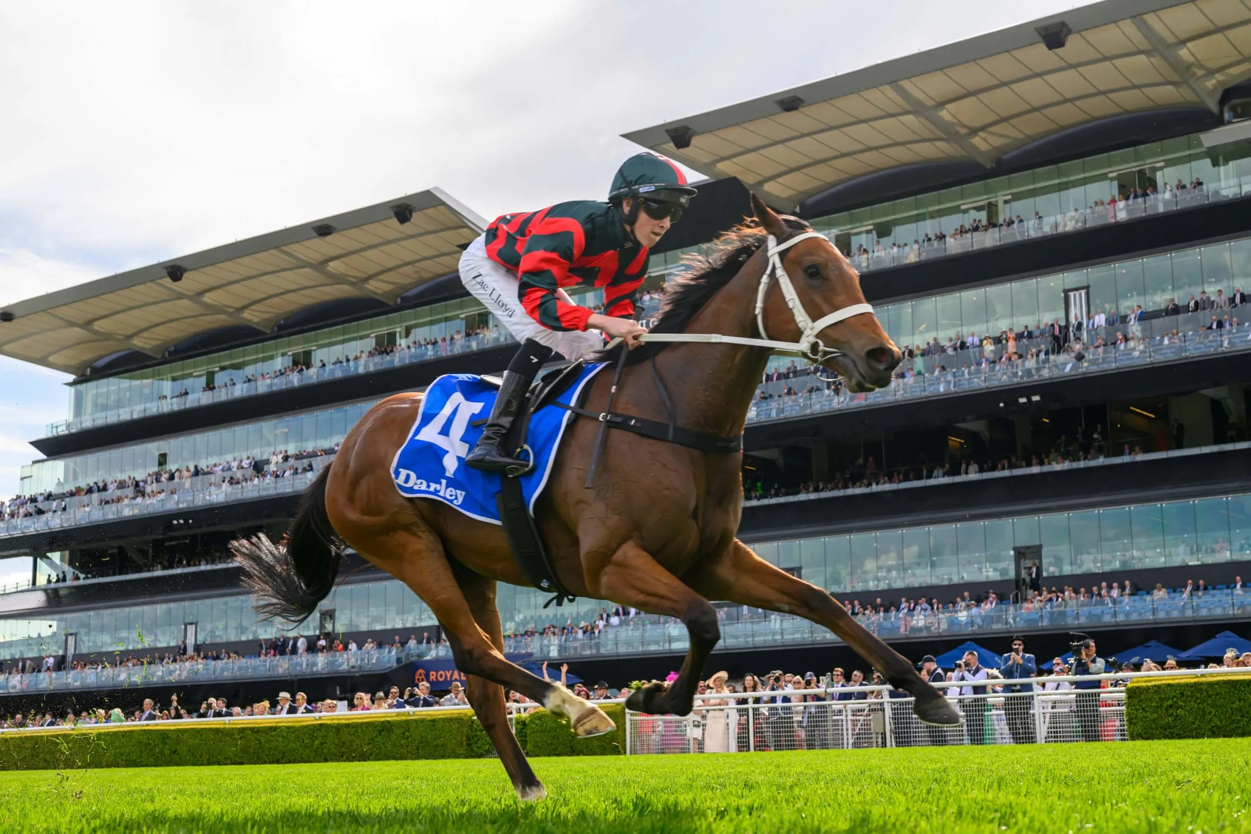 The Everest: Every Runner Breakdown, Tips, and Predicted Finishing Order Image