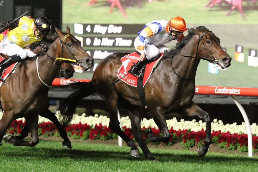 Manikato Preview – Who Will Take Out The Prestigious G1? Image