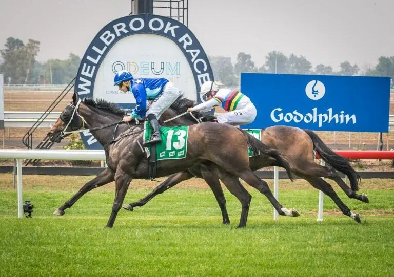RACING TIPS: Muswellbrook – Tuesday 7/7 Image