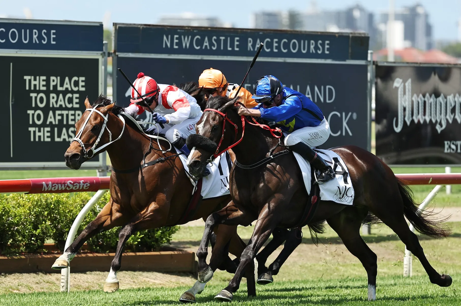 Black Book: Horses You Must Follow From Newcastle 15/11 Image