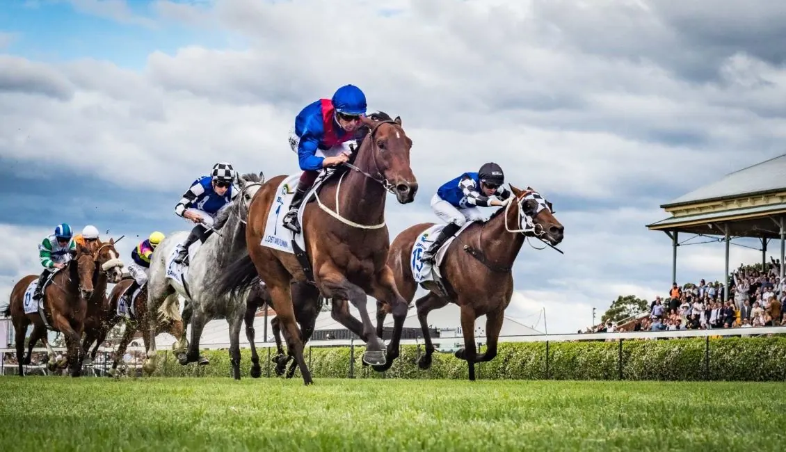 The Hunter: Every Runner Breakdown, Tips, and Predicted Finishing Order Image