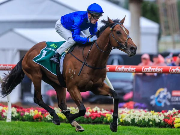 Victorian Derby: Every Runner Breakdown, Tips, and Predicted Finishing Order Image