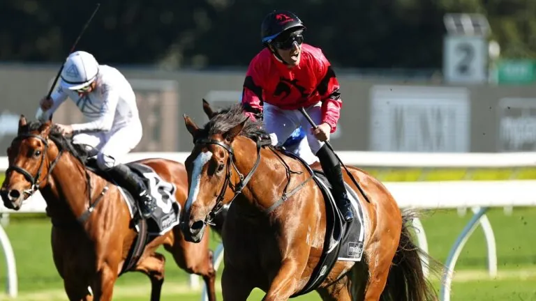 RACING TIPS: Randwick Best Selection & Value Play Image
