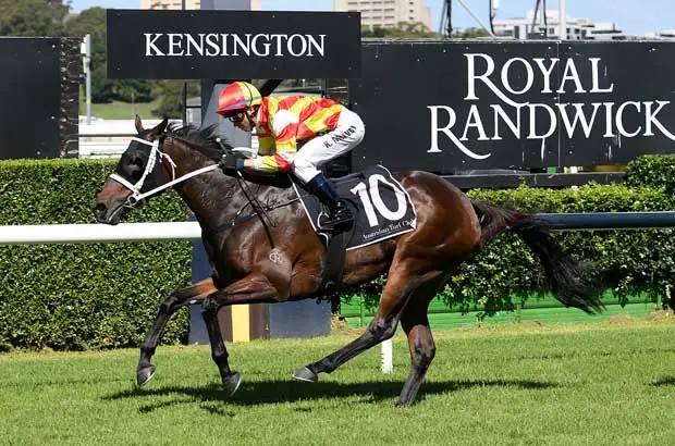 RACING: Long Shots To Back At Randwick 6/9 Image