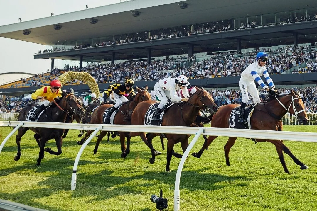 Our Black Book: Horses You Must Follow From Rosehill 22/3 Image