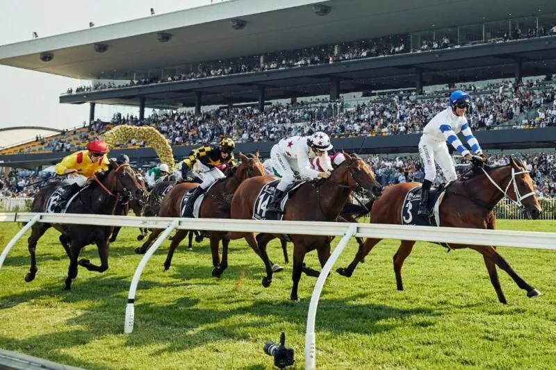 Black Book: Horses You Must Follow From Rosehill 28/6 Image