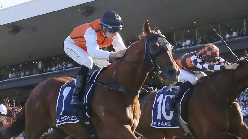 Black Book: Horses You Must Follow From Rosehill 31/5 Image
