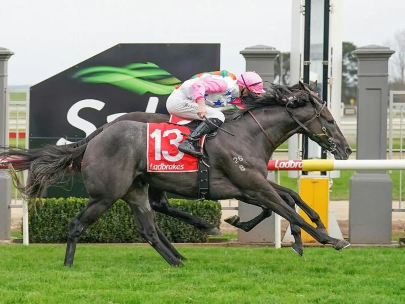 Racing Tips: Our Sunday Special 6/7 Image
