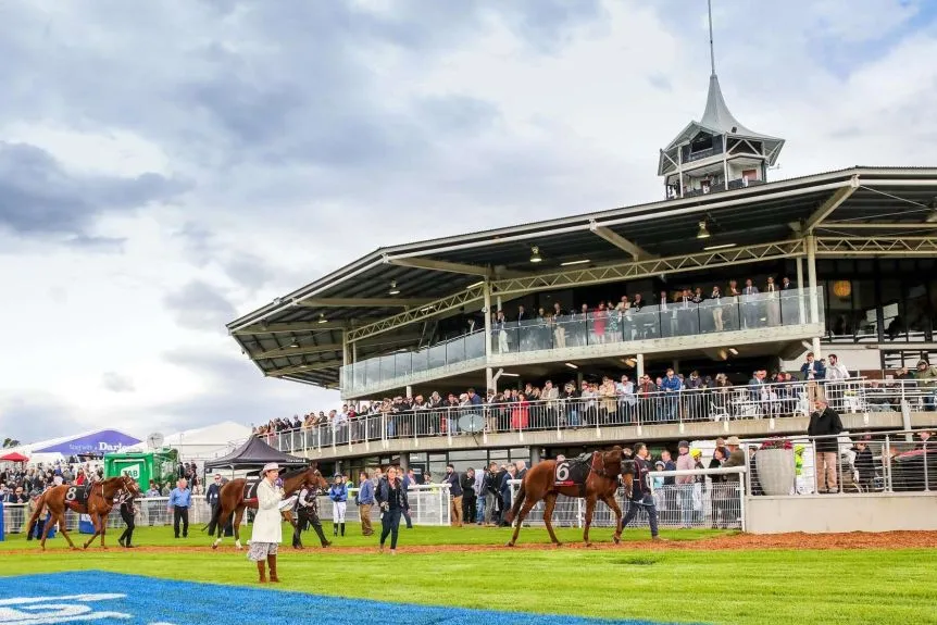 Scone Best Selection & Value Play 17/5 Image
