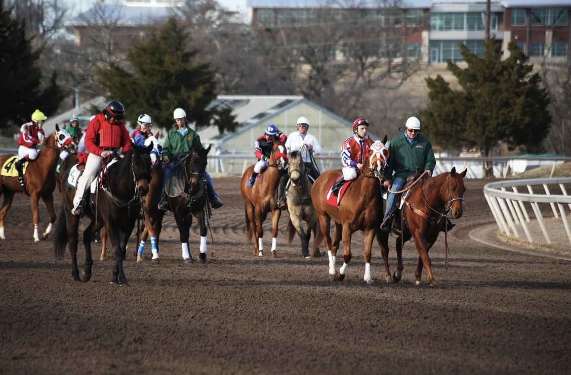 Comparing Fixed Odds vs. Pari-Mutuel Betting for the Kentucky Derby Image