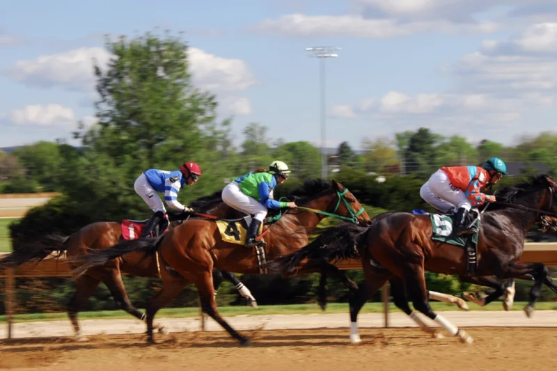 Why the Preakness Stakes Is a Must-Bet Race This Year Image