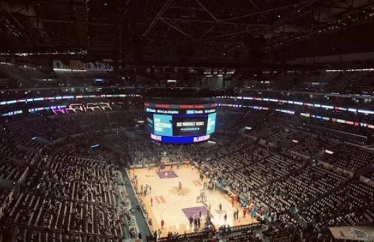 Online Betting Is Changing Sports: How? Image