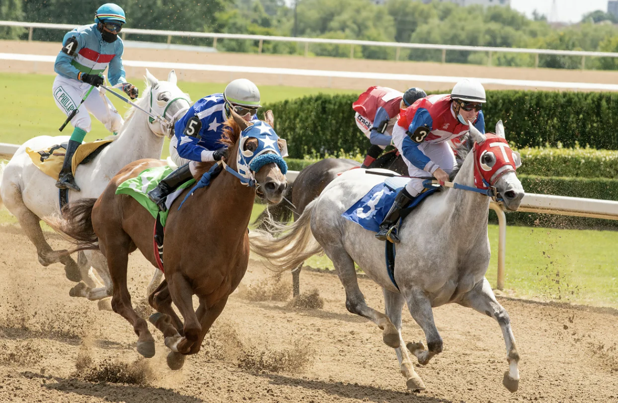 How Regulatory Gaps Stall the Growth of Fixed-Odds Horse Racing Image