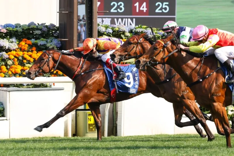 Racing Tips: Our Sunday Special 13/7 Image