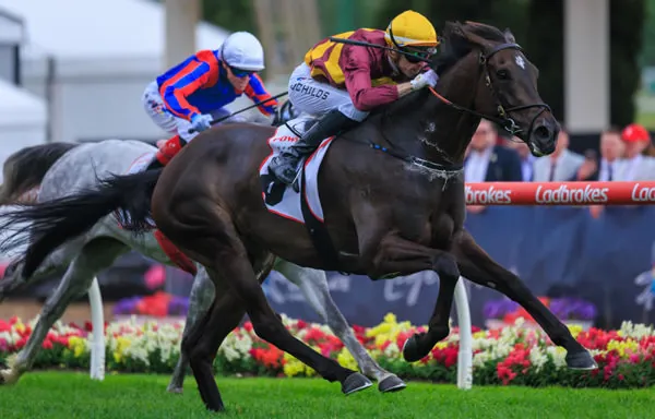 SHE’S READY TO HUSTLE AS A STAYER Image