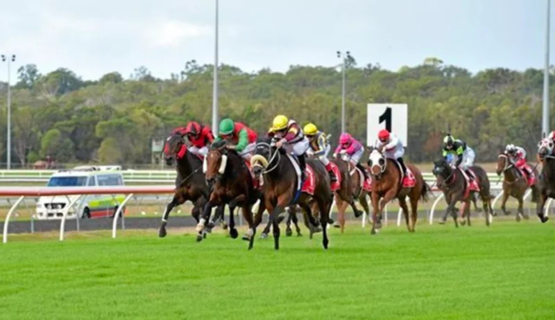 Racing Tips: Our Sunday Special 15/6 Image
