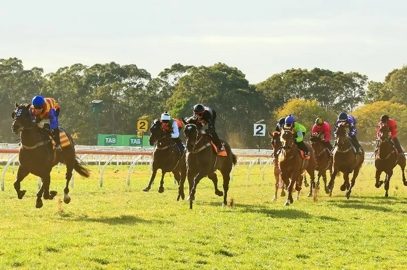 Trial Review: Horses That Caught The Eye At The Trials This Week 2/9 Image