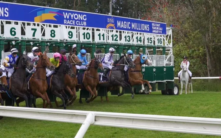 RACING: Today’s Best Selections From The Vault 17/8 Image