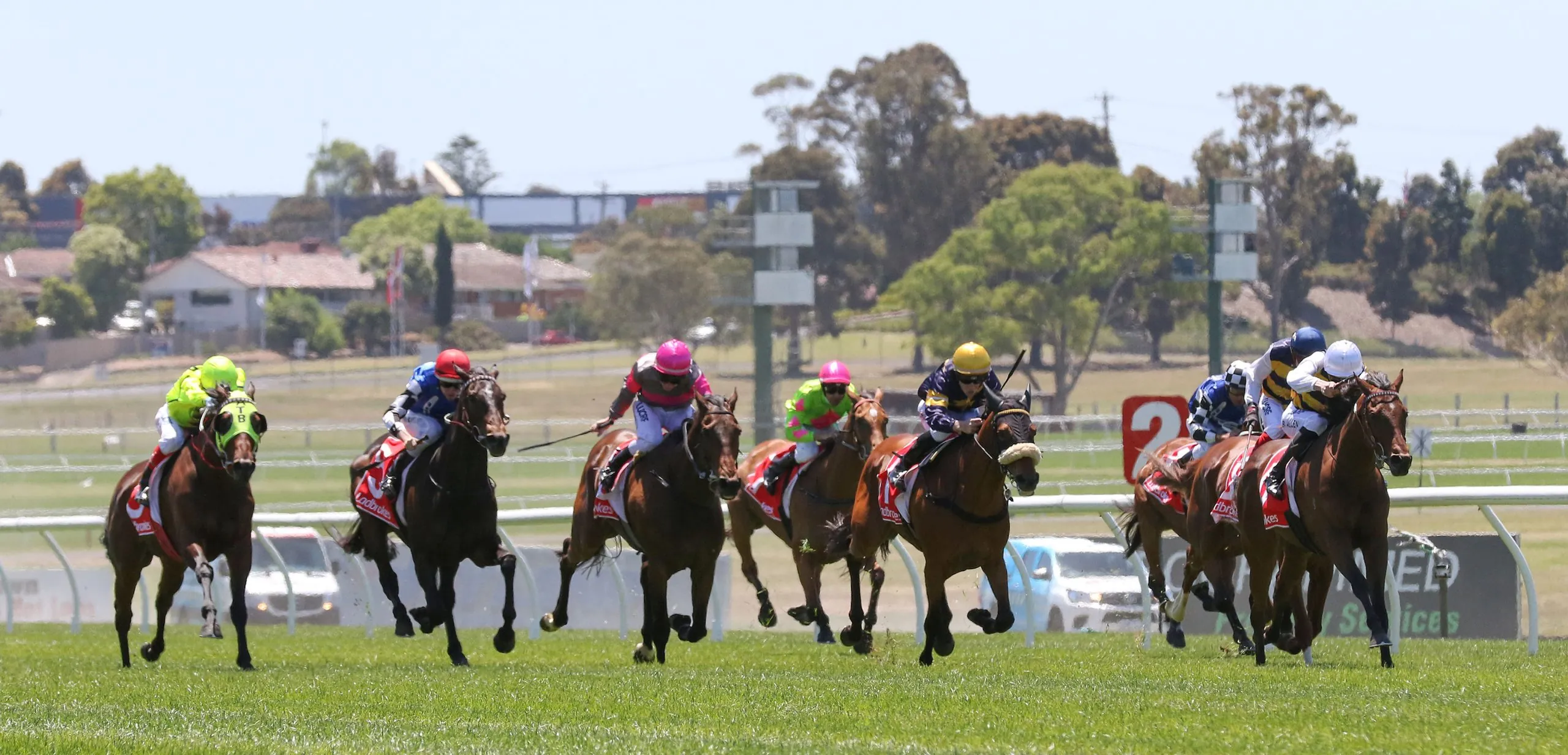 FREE: Sandown Hillside Tip Sheet & Staking Plan: Wednesday 5th March Image
