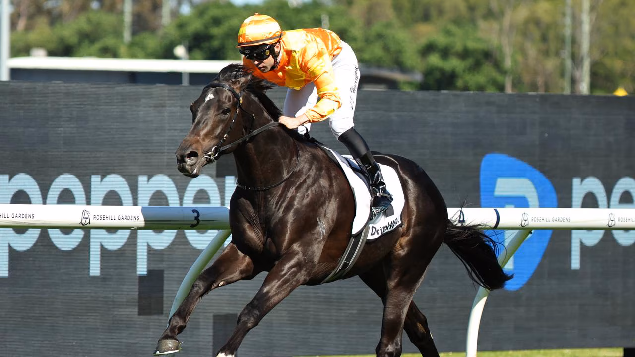 RACING: Randwick Tips – Saturday 25th October Image
