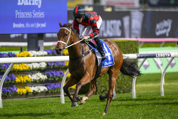 FREE: Rosehill Tip Sheet & Staking Plan: Saturday 15th March Image