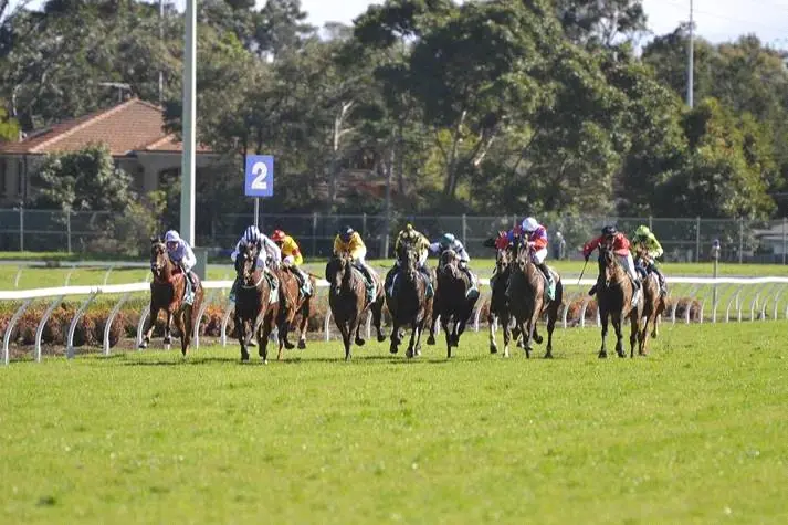 FREE: Canterbury Tip Sheet & Staking Plan: Wednesday 9th July Image