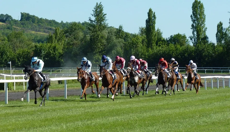 Horse Racing: A Look at the History of the King George VI and Queen Elizabeth Stakes Image