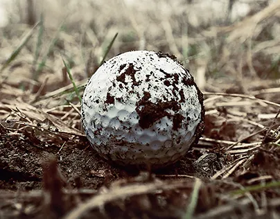 Should golfers be allowed to clean mud off their golf balls? Image