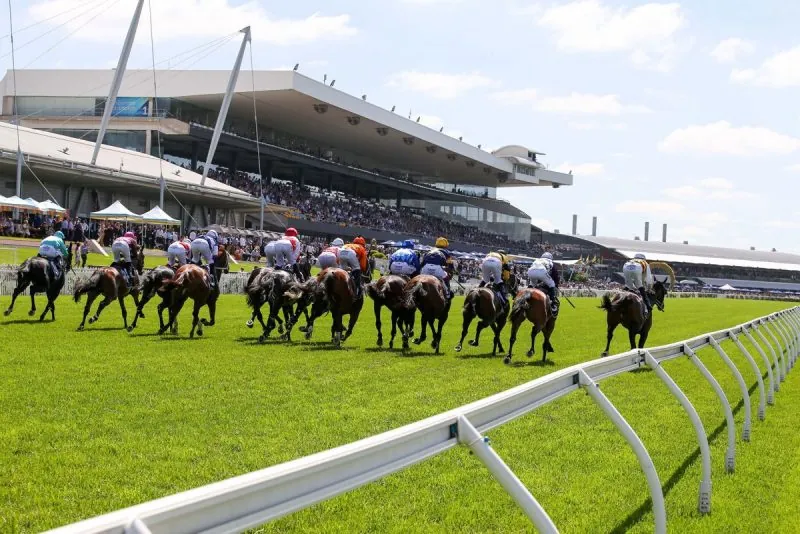 Racing Ratings: Horses To Follow From Rosehill 31/5 Image