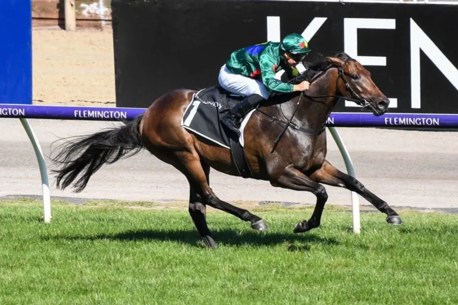 Australian Guineas: What The Jockeys Said Image