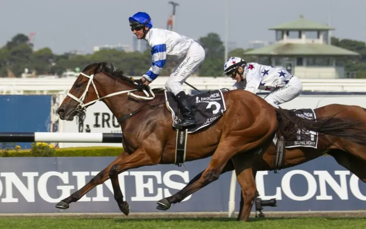 Golden Eagle Review: What The Jockeys Said Image