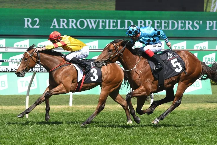 G3 Breeders’ Plate Preview & Analysis Image