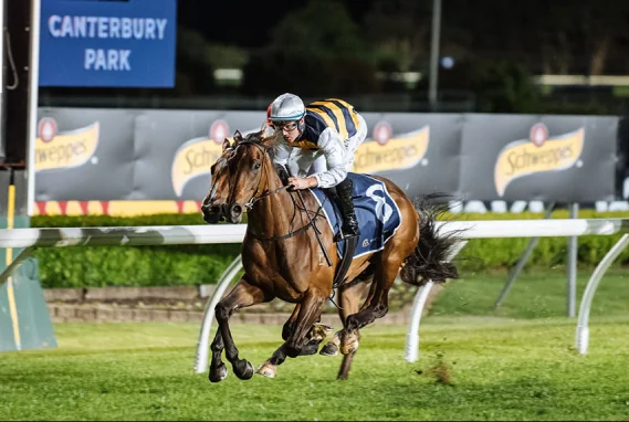 RACING: Three Canterbury Tips You Must Follow 19/12 Image