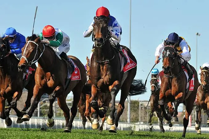 Group 1 Underwood Stakes Preview & Analysis Image