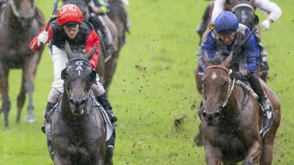 Coolmore Classic Review: What The Jockeys Said Image