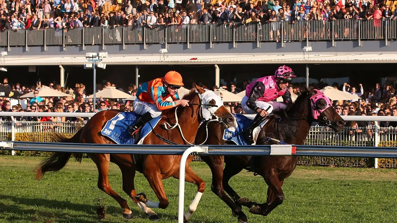 FREE: Doomben Tip Sheet & Staking Plan: Saturday 25th July Image