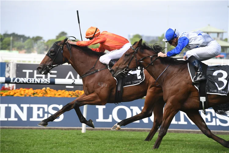 Our BlackBook: Horses Running Today & Staking Plan 1/8 Image