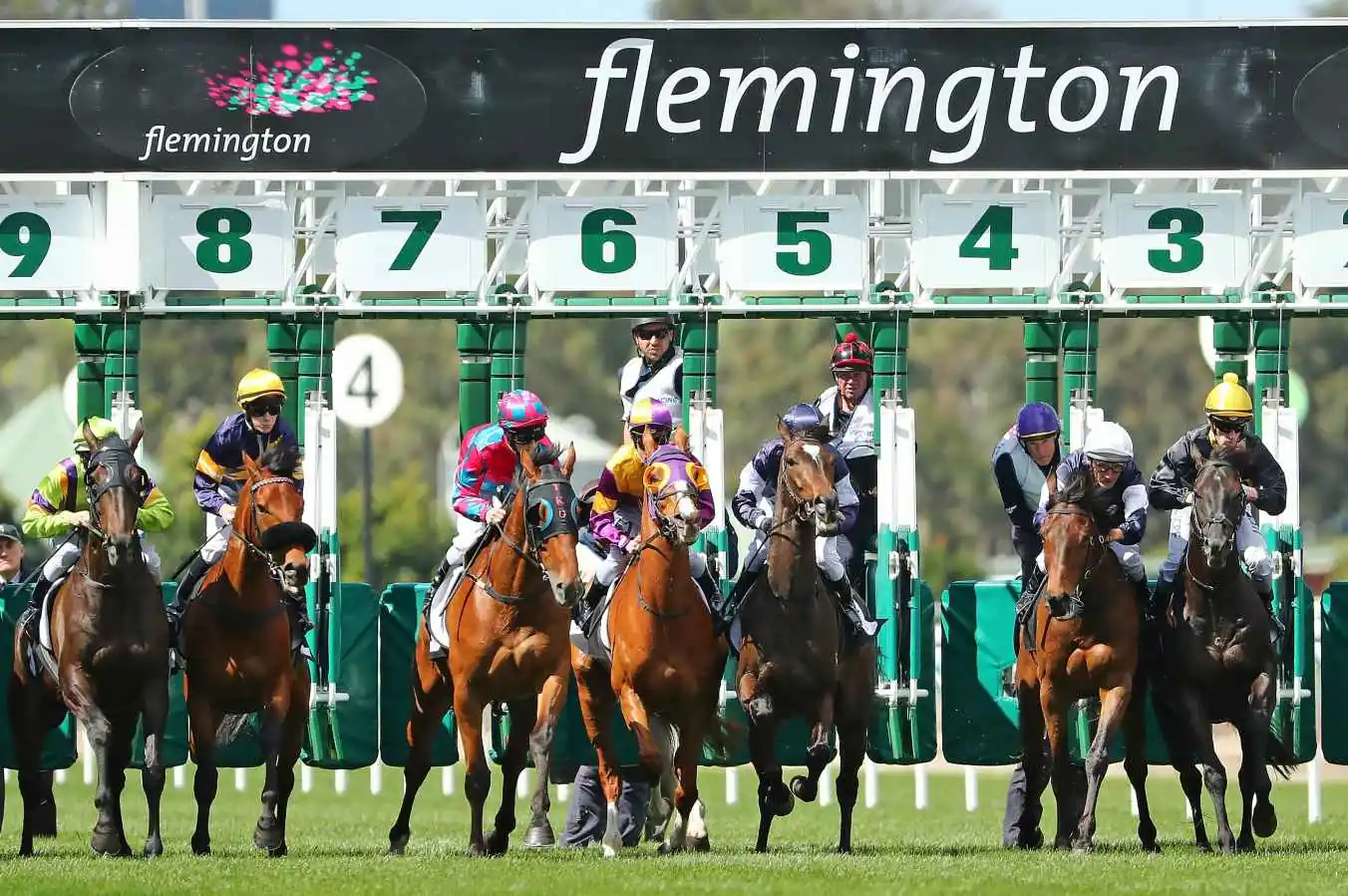 RACING: Long Shots To Follow At Flemington 17/1 Image