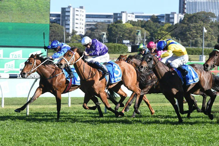 G1 Flight Stakes Preview & Analysis Image